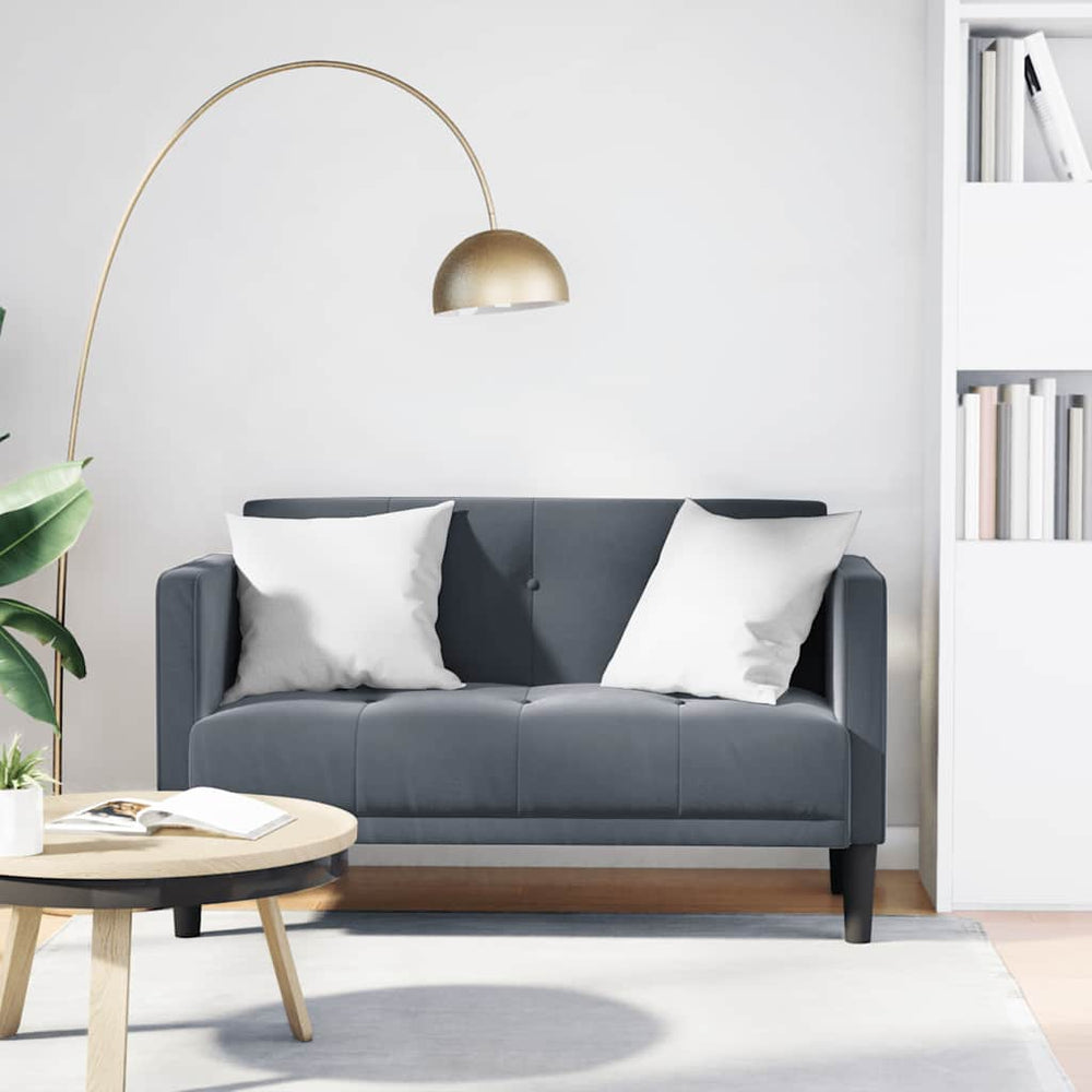 Dunkelgraues Samt Zweisitzer Sofa 111 cm