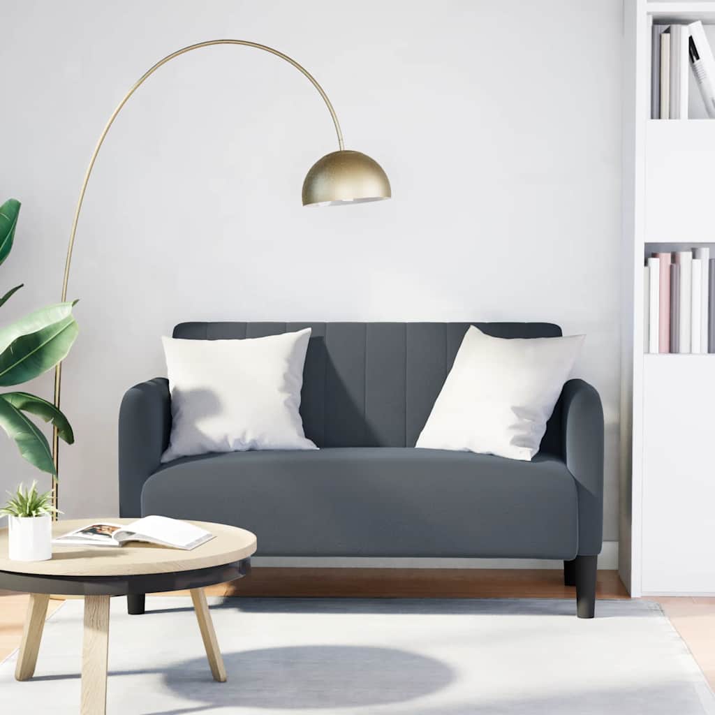 Dunkelgraues Samt Zweisitzer Sofa 109cm