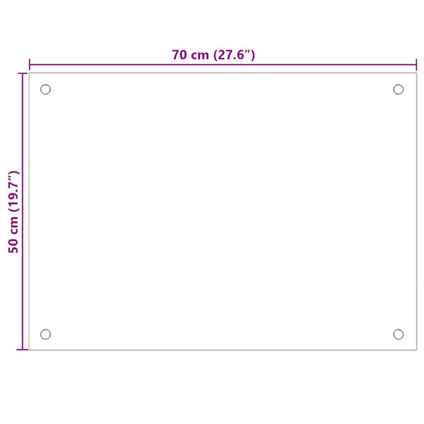 vidaXL Fonds de hotte 2 pcs Transparent 70x50 cm Verre trempé