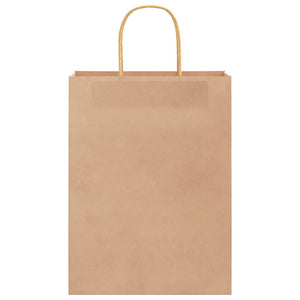 Braune Papiertragetaschen mit Henkeln, 50 Stk.