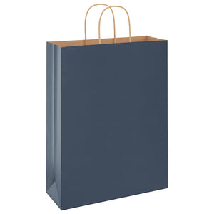 Blaue Papiertragetaschen mit Henkel, 250 Stk.