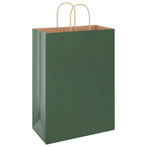 Grüne Papiertragetaschen mit Henkeln, 250 Stk. 32x17x44 cm