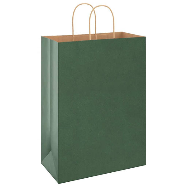 Grüne Papiertragetaschen mit Henkeln, 250 Stk. 32x17x44 cm