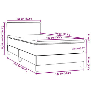 Boxspringbett Rosa 100x220 cm mit LED