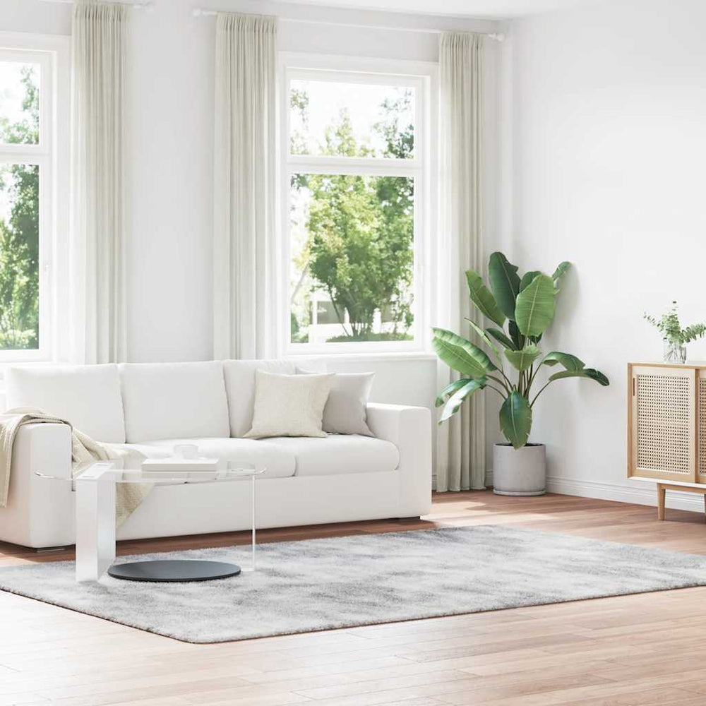 Shaggy Teppich Silbergrau 200x290 cm