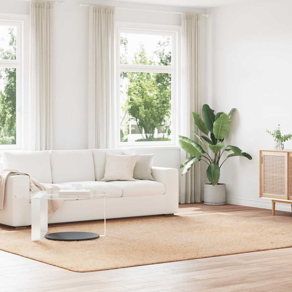 Beiger Shaggy Teppich NAVARRA 240x340 cm