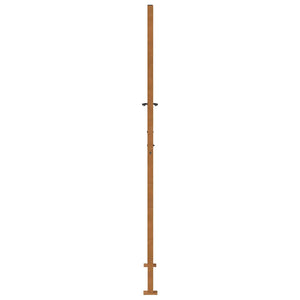 Gartentor Cortenstahl 100x200 cm