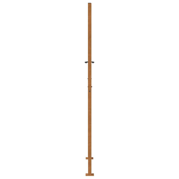 Gartentor Cortenstahl 100x200 cm