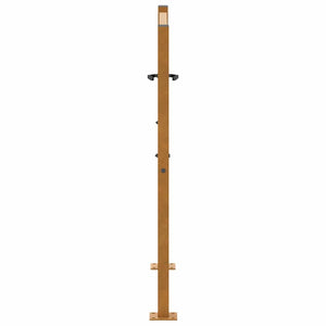 Gartentor 100x100 cm Stahl Blattdesign