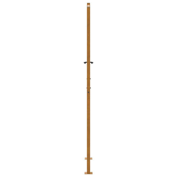 Gartentor 100x200 cm Stahl Blattdesign