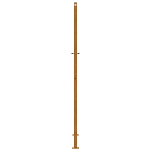 Gartentor 100x200 cm Verwitterungsstahl Wellendesign