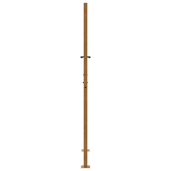 Gartentor 100x175 cm Verwitterungsstahl Trace Design