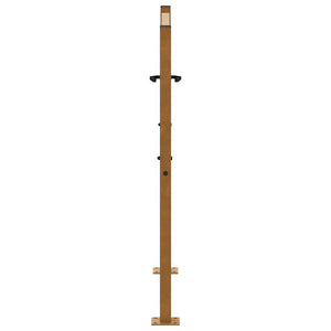 Gartentor 100x100 cm Verwitterungsstahl Flammendesign