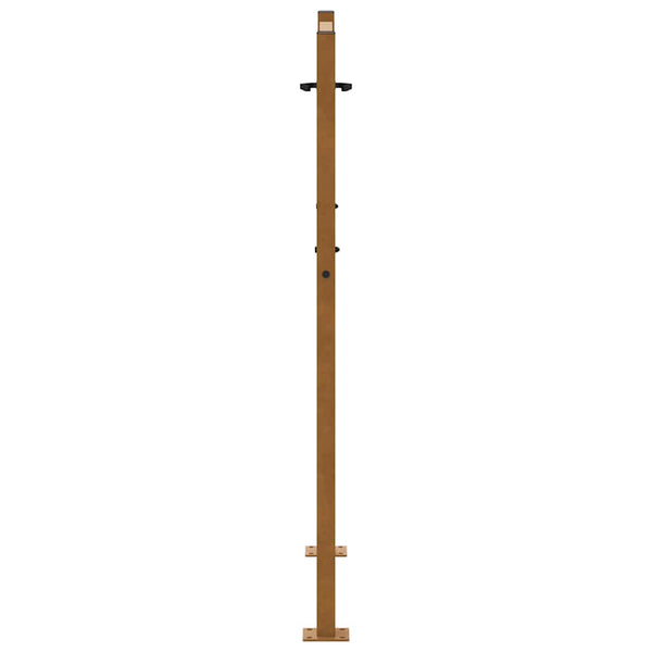 Gartentor 100x125cm Verwitterungsstahl Flammendesign