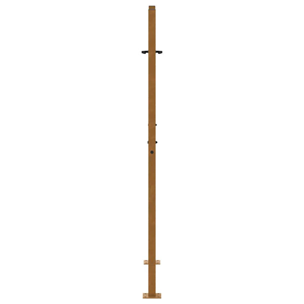 Gartentor 100x150cm Verwitterungsstahl Flammendesign