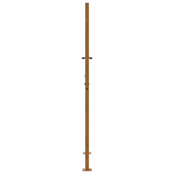 Gartentor 100x175 cm Verwitterungsstahl Flammendesign