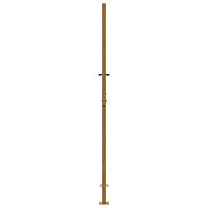 Gartentor 100x200 cm Verwitterungsstahl Flammendesign