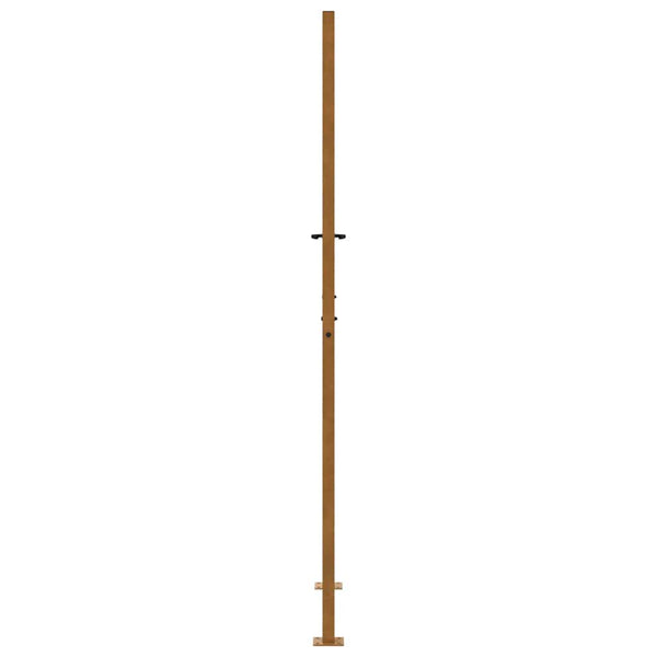 Gartentor 100x200 cm Verwitterungsstahl Flammendesign