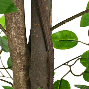 Künstlicher Ficusbaum 200 cm mit 1260 Blättern