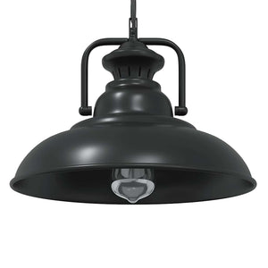 Schwarze Pendelleuchte E27 Ø 31cm