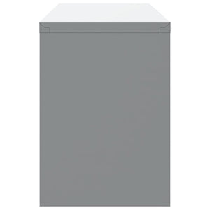 Werkzeugschrank mit Stauraum Rot/Grau 100cm