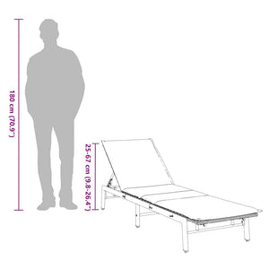 vidaXL Chaise longue avec coussin Gris résine tressée