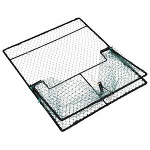 Vogelfalle Grün Polyethylen 50x60cm