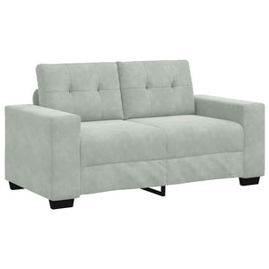 2-teiliges hellgraues Samt-Sofa-Set