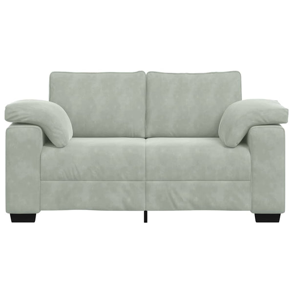 vidaXL Canapé deux places Gris clair 160x77x82 cm Velours