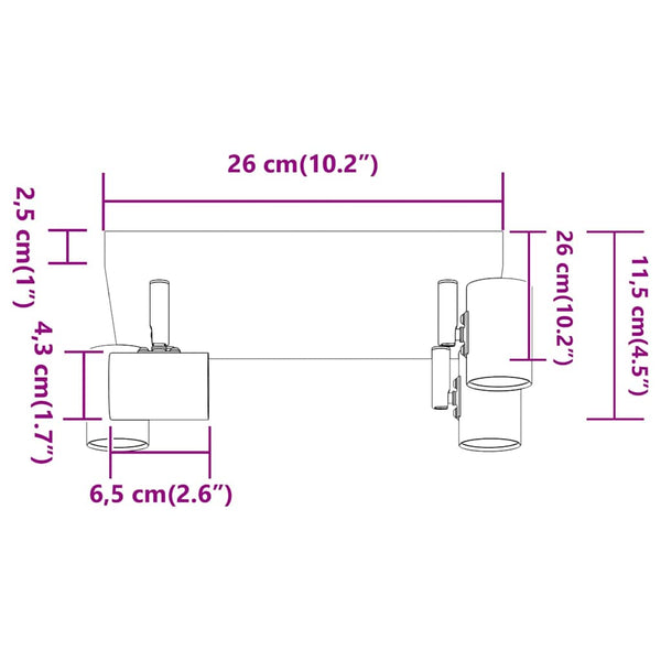 Schwarzer Deckenstrahler mit Spots