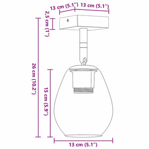 Schwarzer Deckenstrahler Glas Metall