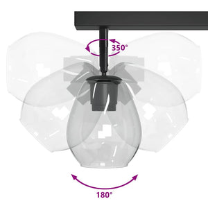 Schwarzer Deckenstrahler aus Glas und Metall