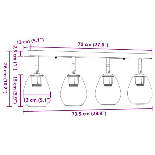 Schwarzer Deckenstrahler aus Glas und Metall