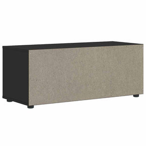 TV-Schrank Schwarz 100 cm Holzwerkstoff