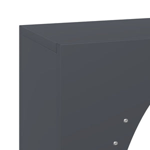 Brennholzregal Anthrazit 50x23x100 cm