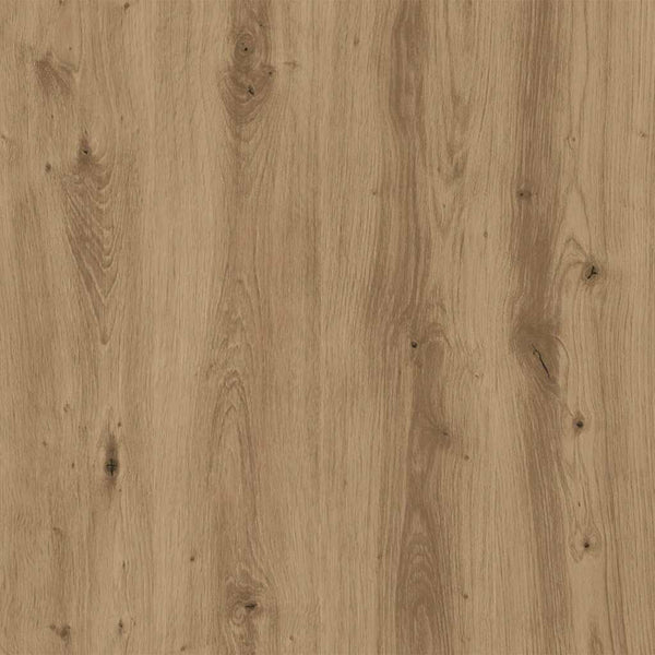 Spiegel Artisan Eiche 50x60 cm