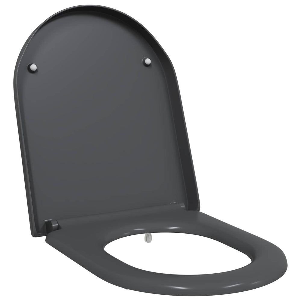 Anthrazit Toilettensitz Duroplast