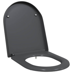 Anthrazit Toilettensitz Duroplast
