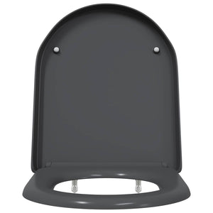 Anthrazit Toilettensitz Duroplast