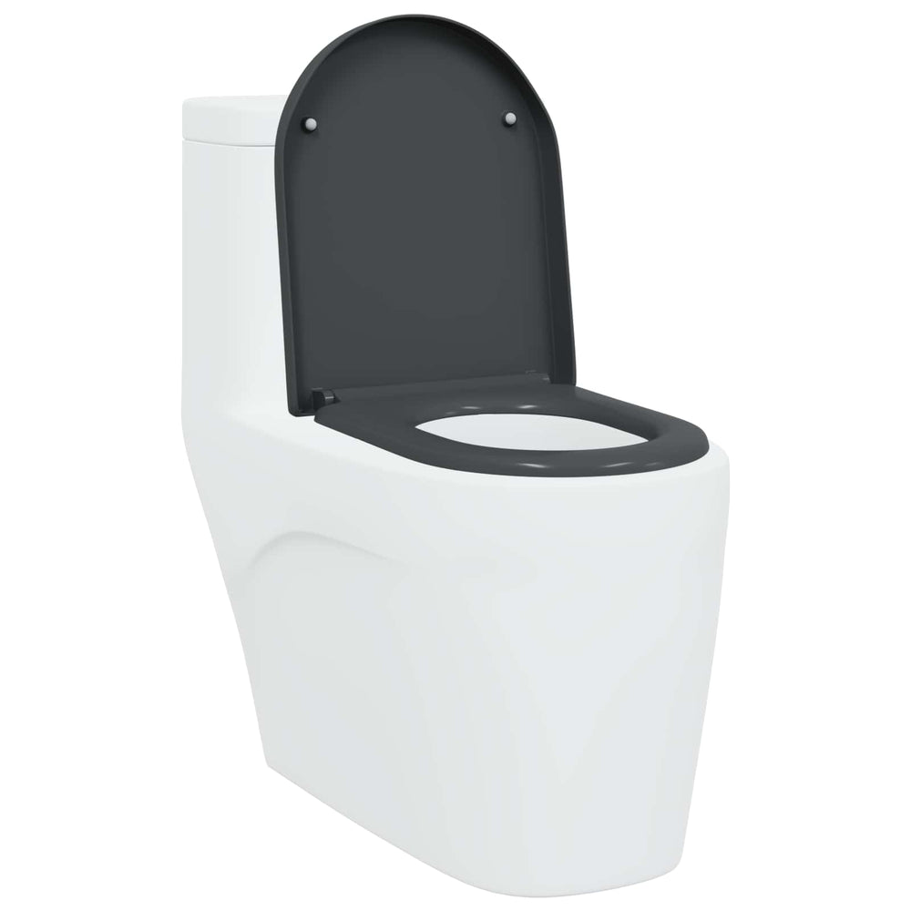 Anthrazit Toilettensitz Duroplast