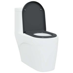 Anthrazit Toilettensitz Duroplast