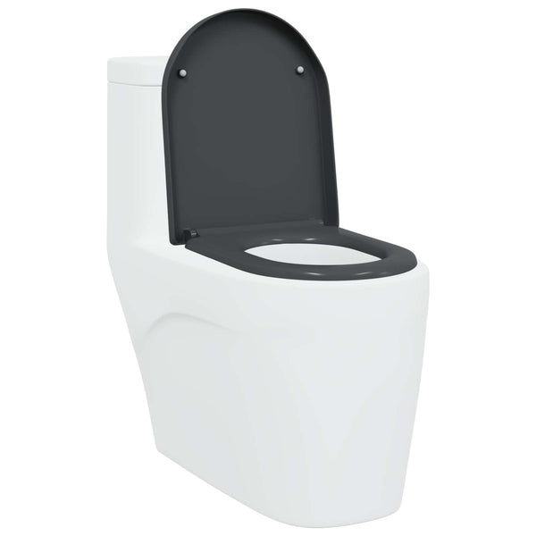 Anthrazit Toilettensitz Duroplast