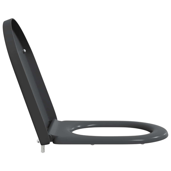 Anthrazit Toilettensitz Duroplast