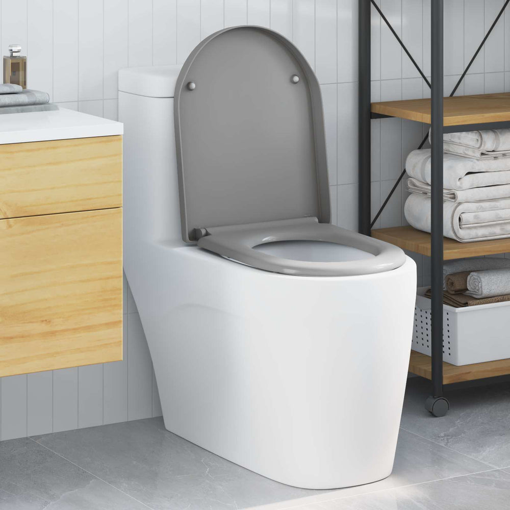 Grauer Toilettensitz Duroplast