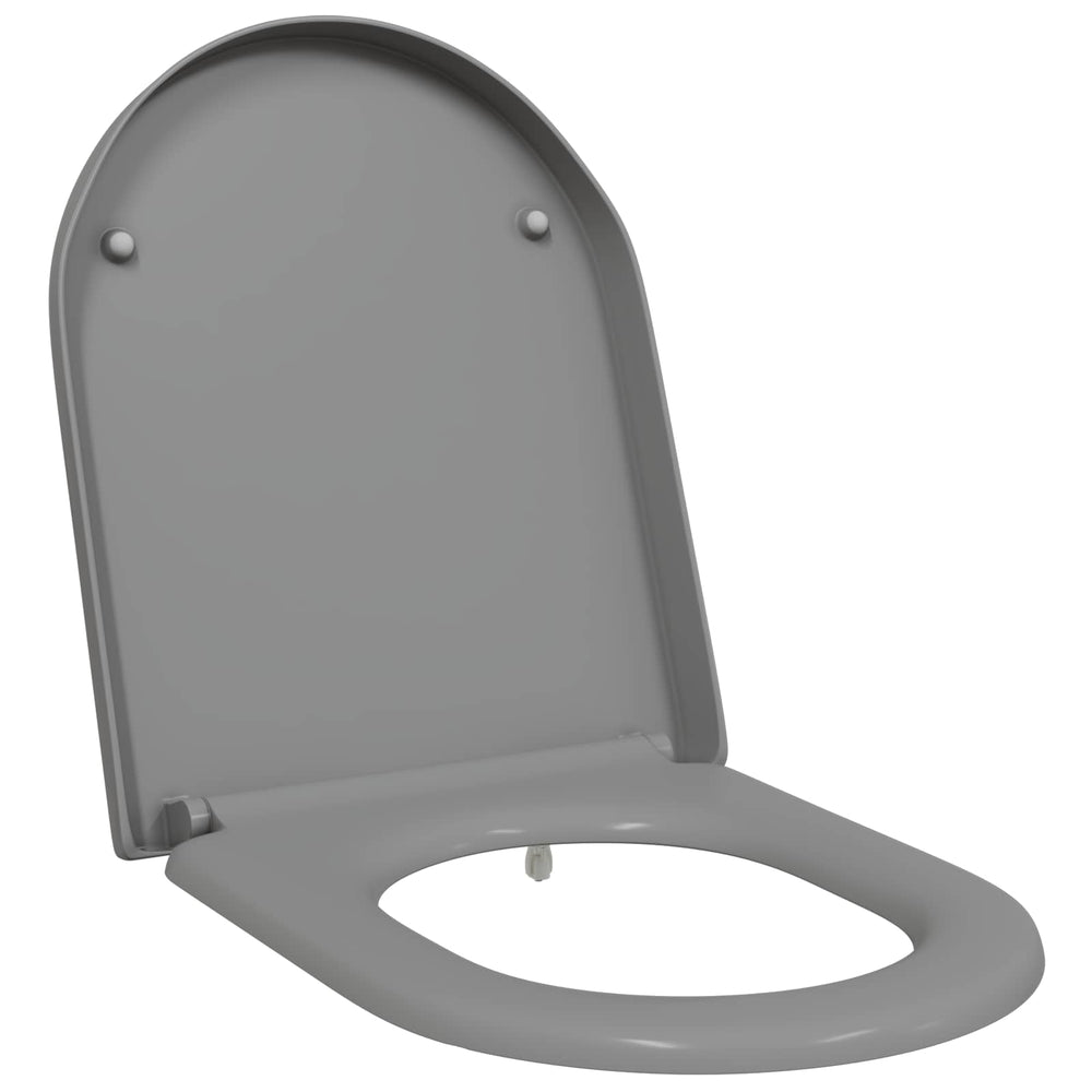 Grauer Toilettensitz Duroplast