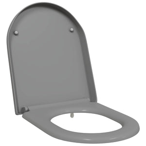 Grauer Toilettensitz Duroplast