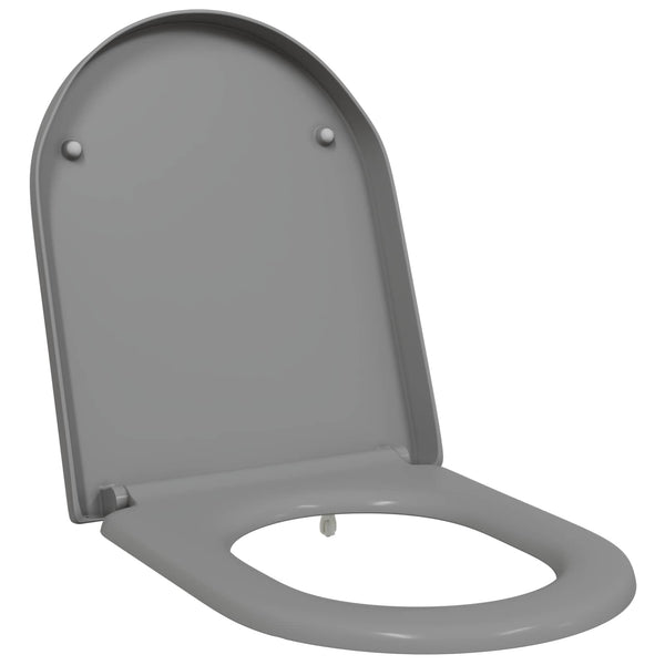 Grauer Toilettensitz Duroplast