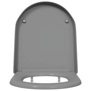 Grauer Toilettensitz Duroplast