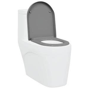 Grauer Toilettensitz Duroplast