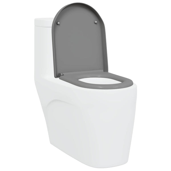 Grauer Toilettensitz Duroplast